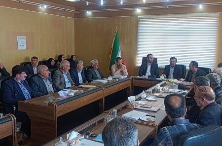 بازارسازی و بازارشناسی از لازمه های توسعه صادرات فرش دستباف همدان است