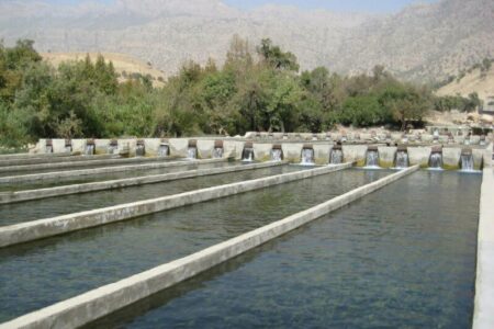 احصای فرصت‌های سرمایه‌گذاری شیلاتی در راستای افزایش اشتغال و تولید