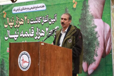 ۲۰ هزار نهال و ۲۰۰ هزار قلمه نهال در محوطه نیروگاه برق شهید مفتح همدان کاشته شد