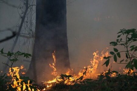 ۱۵۰ کیلومتر آتش بُر در منابع طبیعی همدان ایجاد شد