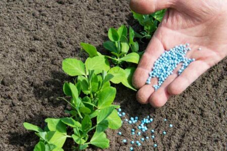 ۱۳۰ هزارتن کود یارانه ای برای کشاورزان همدانی تامین شد