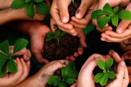 سهم ۶۰ درصدی تولید نهال از نهالستان قدس ملایر