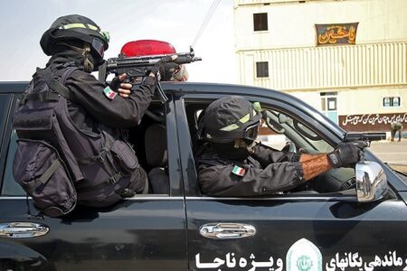 شرور مسلح و سابقه‌دار توسط نوپو همدان زمين‌گیر شد