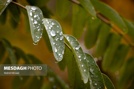 اسدآباد و تویسرکان رکورددار بیشترین میزان بارندگی در استان همدان