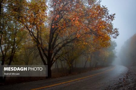 خزان هزار رنگ الوند