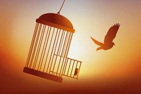 ۱۰ زندانی در همدان آزاد شدند؛ بازگشت به آغوش خانواده پس از اجرای طرح پایش