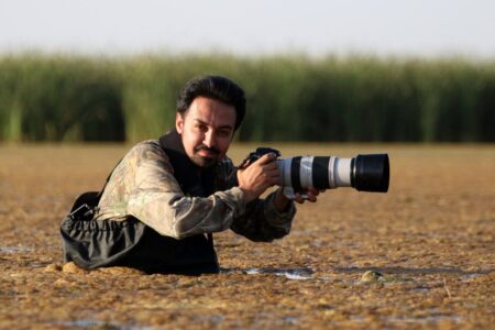 مدال طلای جشنواره Lion City 2025 سنگاپور به علی ثقفی رسید