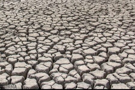 ۱۰۰ هزار هکتار از اراضی همدان شوره زار است