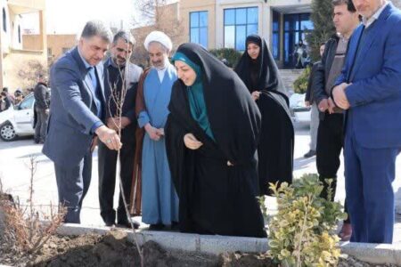 درختکاری؛ گامی به سوی کاهش بحران تغییرات اقلیمی