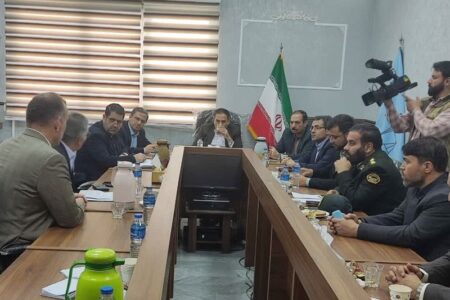 اجرای طرح «گلریزان اجتماعی» برای پیشگیری از آسیب‌ها