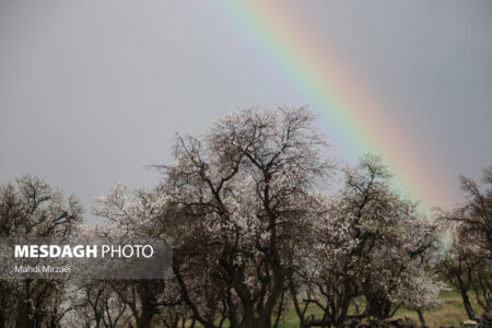 بهار همدان؛ نقاشی خدا روی بومِ دشت های الوند