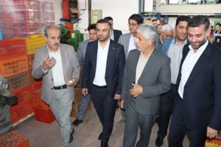 معاون قضایی دادستان کل کشور از شرکت پلمپین صنعت بازدید کرد