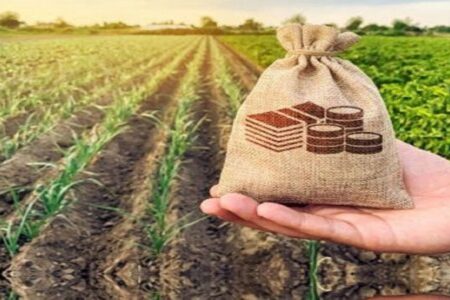 بیش از ۴۳۷ هزار هکتار از اراضی کشاورزی همدان زیر پوشش بیمه رفت