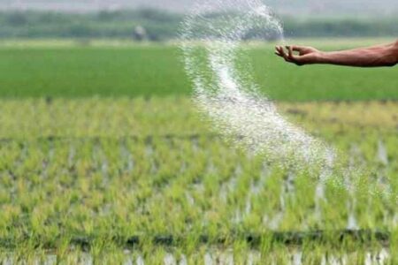 ۱۰۰ درصد سهمیه کود شیمیایی یارانه ای همدان تخصیص یافت