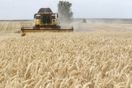 آغاز به کار ۵۲ مرکز خرید تضمینی گندم در استان همدان