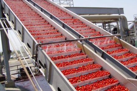 همدان تولیدکننده ۴.۸ درصد از محصولات دامداری و صنایع تبدیلی کشور است