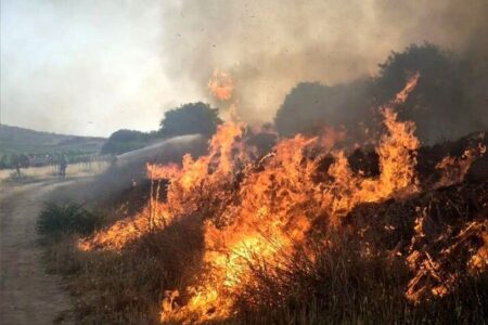 ۲۰۰ هکتار از مراتع استان همدان طعمه حریق