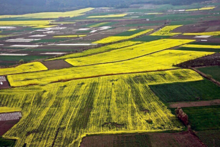 توصیه های هواشناسی همدان به کشاورزان برای جلوگیری از خسارت به محصولات